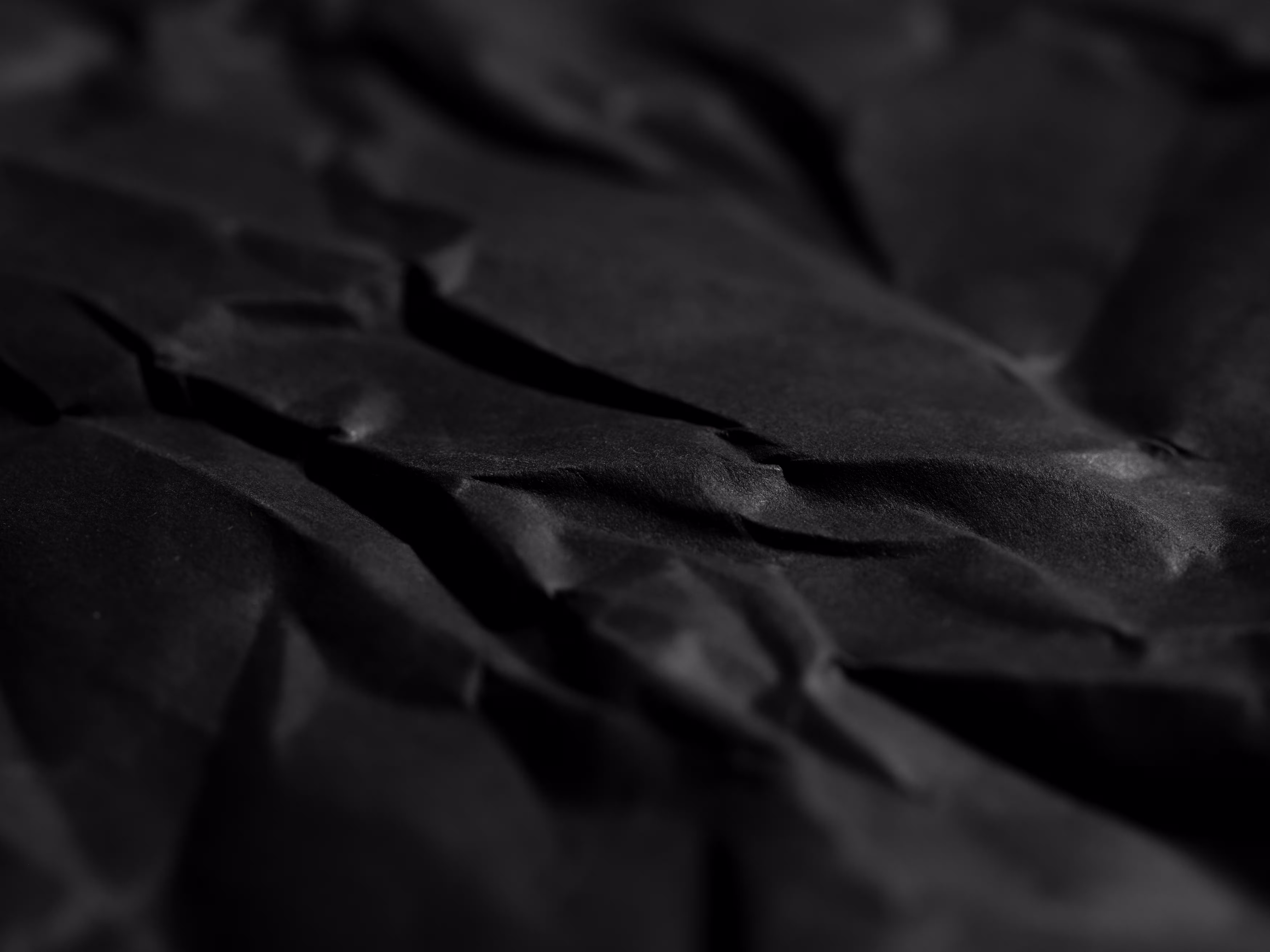 Close-up of texture